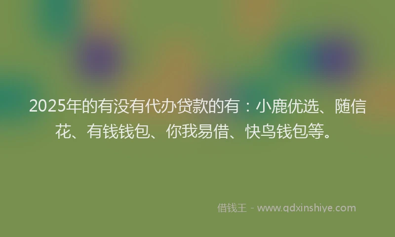 2025年的有没有代办贷款的有：小鹿优选、随信花、有钱钱包、你我易借、快鸟钱包等。
