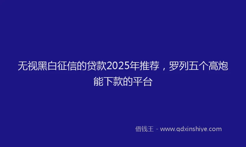 无视黑白征信的贷款2025年推荐，罗列五个高炮能下款的平台