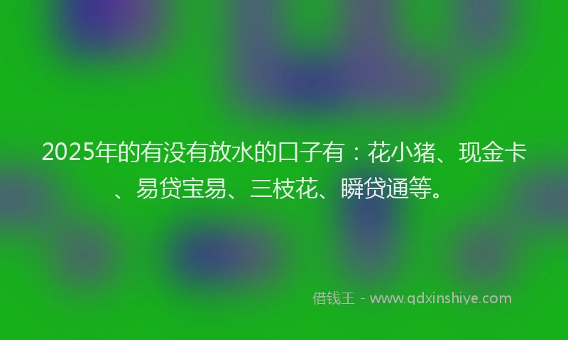 2025年的有没有放水的口子有：花小猪、现金卡、易贷宝易、三枝花、瞬贷通等。