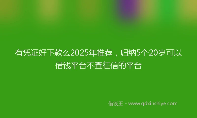 有凭证好下款么2025年推荐，归纳5个20岁可以借钱平台不查征信的平台