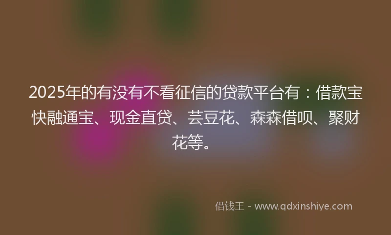 2025年的有没有不看征信的贷款平台有：借款宝快融通宝、现金直贷、芸豆花、森森借呗、聚财花等。