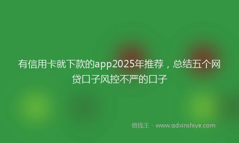 有信用卡就下款的app2025年推荐，总结五个网贷口子风控不严的口子
