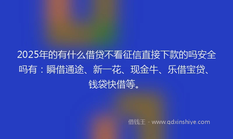 2025年的有什么借贷不看征信直接下款的吗安全吗有：瞬借通途、新一花、现金牛、乐借宝贷、钱袋快借等。