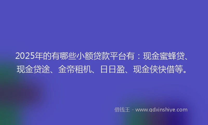 2025年的有哪些小额贷款平台有：现金蜜蜂贷、现金贷途、金帝租机、日日盈、现金侠快借等。
