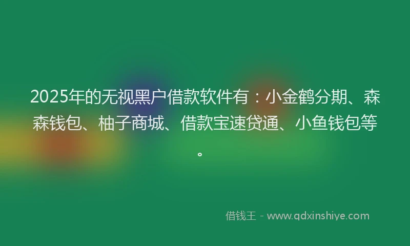 2025年的无视黑户借款软件有：小金鹤分期、森森钱包、柚子商城、借款宝速贷通、小鱼钱包等。