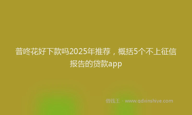 普咚花好下款吗2025年推荐，概括5个不上征信报告的贷款app
