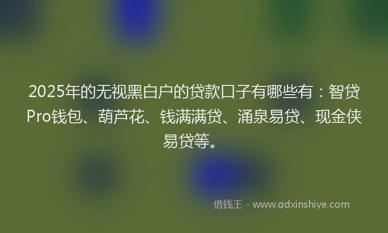 2025年的无视黑白户的贷款口子有哪些有：智贷Pro钱包、葫芦花、钱满满贷、涌泉易贷、现金侠易贷等。