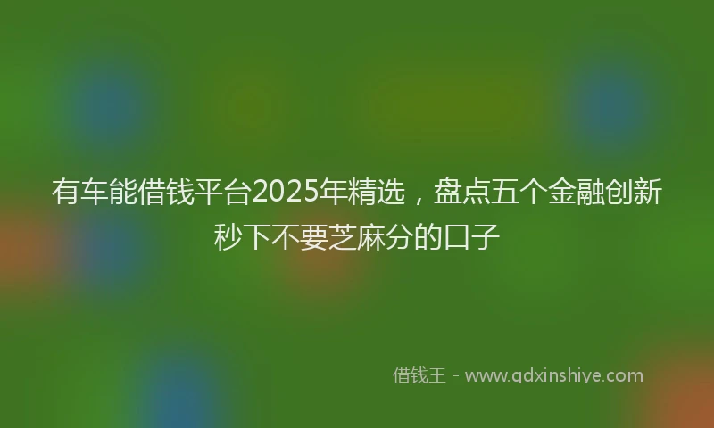 有车能借钱平台2025年精选，盘点五个金融创新秒下不要芝麻分的口子
