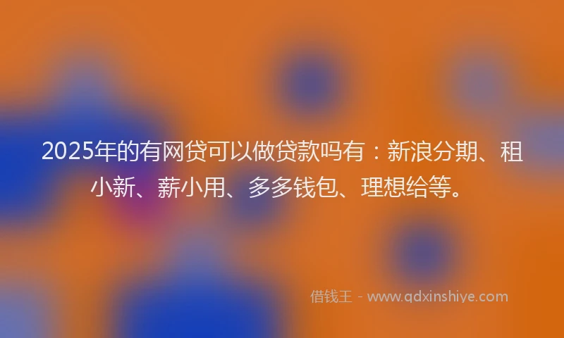 2025年的有网贷可以做贷款吗有：新浪分期、租小新、薪小用、多多钱包、理想给等。