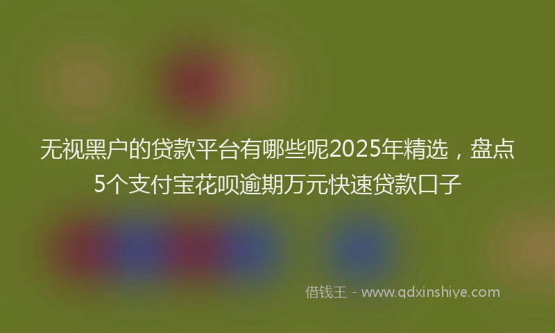 无视黑户的贷款平台有哪些呢2025年精选，盘点5个支付宝花呗逾期万元快速贷款口子