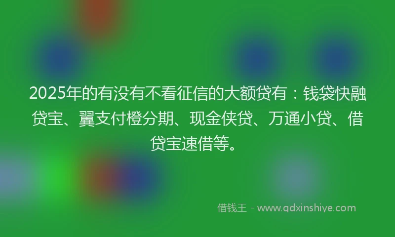 2025年的有没有不看征信的大额贷有：钱袋快融贷宝、翼支付橙分期、现金侠贷、万通小贷、借贷宝速借等。
