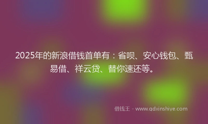 2025年的新浪借钱首单有：省呗、安心钱包、甄易借、祥云贷、替你速还等。