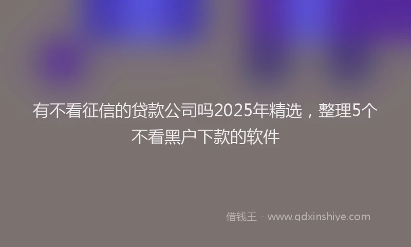 有不看征信的贷款公司吗2025年精选，整理5个不看黑户下款的软件