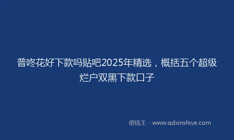 普咚花好下款吗贴吧2025年精选，概括五个超级烂户双黑下款口子