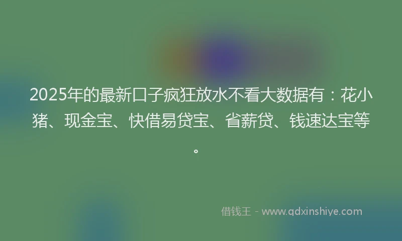 2025年的最新口子疯狂放水不看大数据有：花小猪、现金宝、快借易贷宝、省薪贷、钱速达宝等。