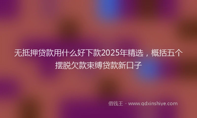 无抵押贷款用什么好下款2025年精选，概括五个摆脱欠款束缚贷款新口子