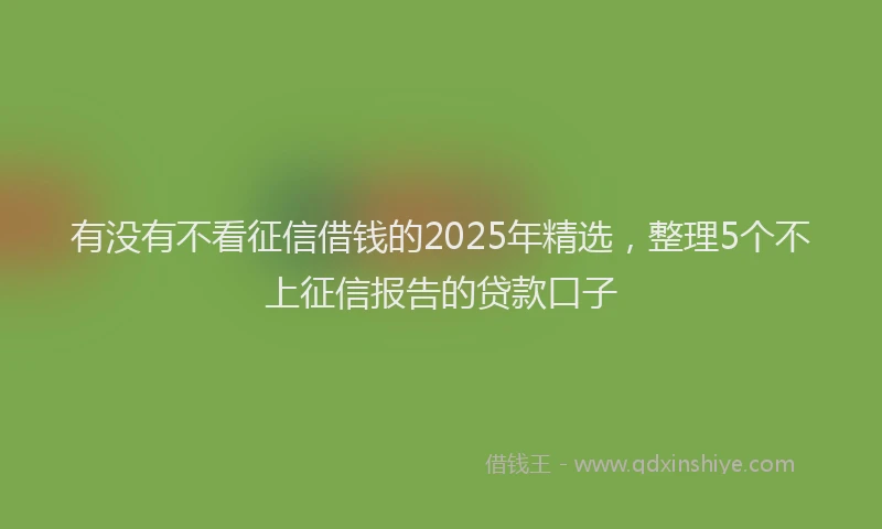 有没有不看征信借钱的2025年精选，整理5个不上征信报告的贷款口子