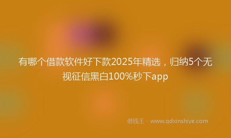 有哪个借款软件好下款2025年精选，归纳5个无视征信黑白100%秒下app
