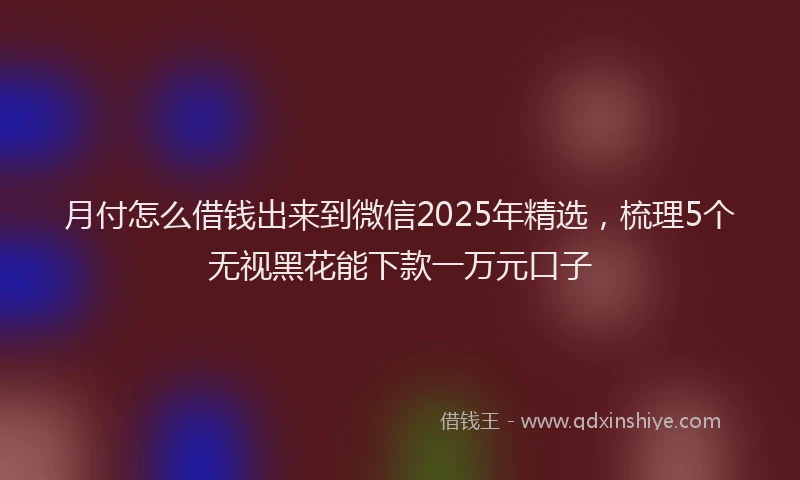 月付怎么借钱出来到微信2025年精选，梳理5个无视黑花能下款一万元口子