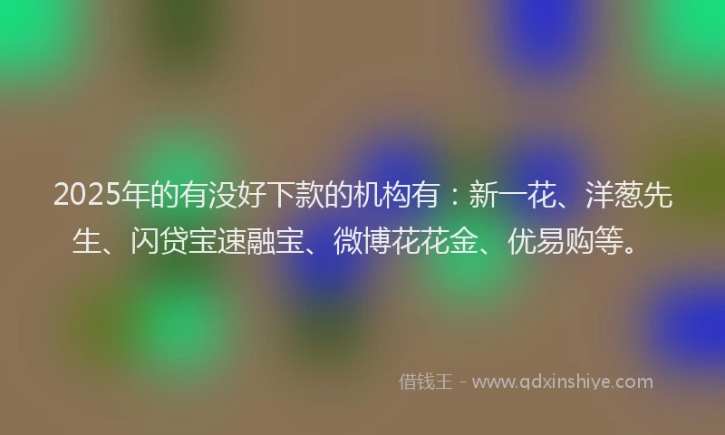 2025年的有没好下款的机构有：新一花、洋葱先生、闪贷宝速融宝、微博花花金、优易购等。