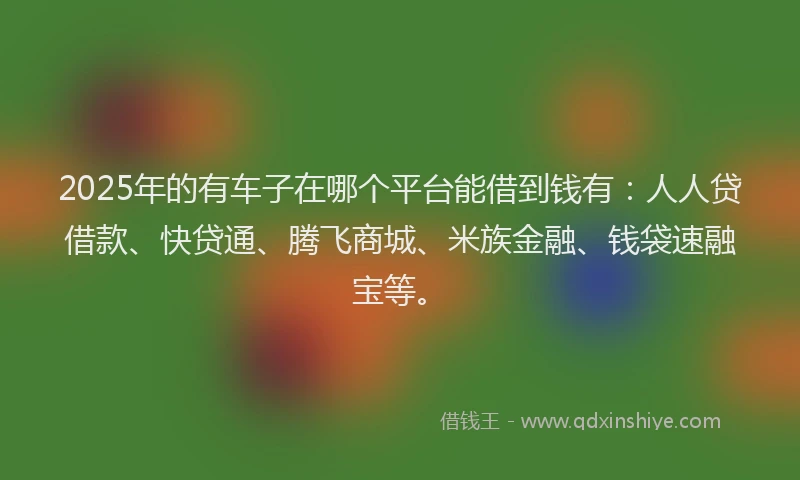 2025年的有车子在哪个平台能借到钱有：人人贷借款、快贷通、腾飞商城、米族金融、钱袋速融宝等。
