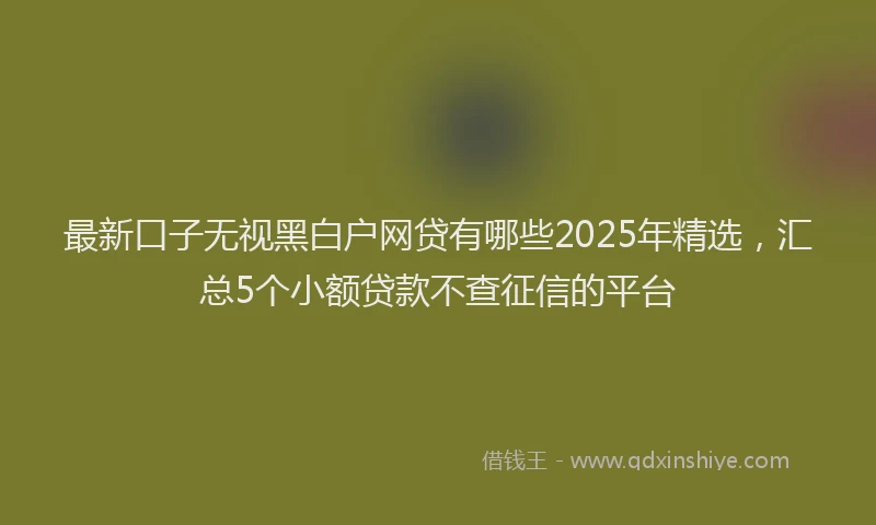 最新口子无视黑白户网贷有哪些2025年精选，汇总5个小额贷款不查征信的平台