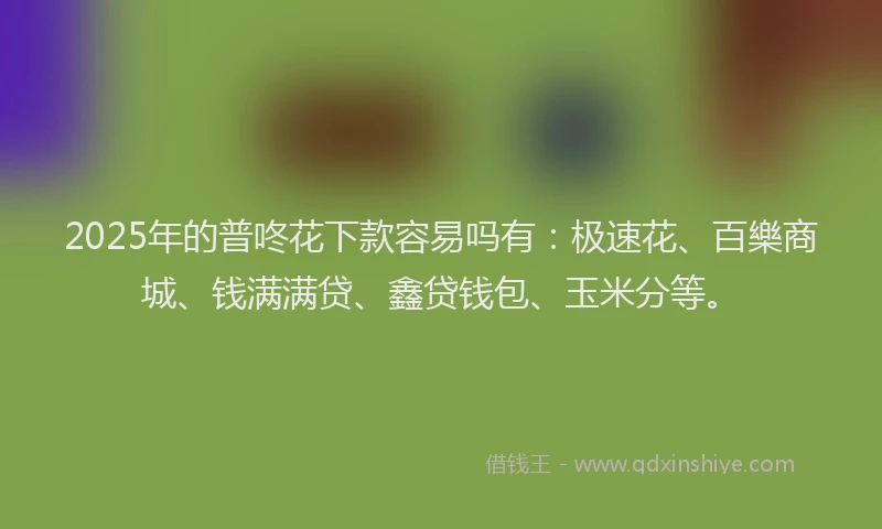 2025年的普咚花下款容易吗有：极速花、百樂商城、钱满满贷、鑫贷钱包、玉米分等。