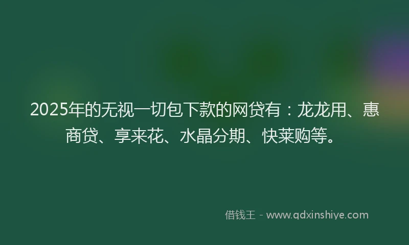 2025年的无视一切包下款的网贷有：龙龙用、惠商贷、享来花、水晶分期、快莱购等。