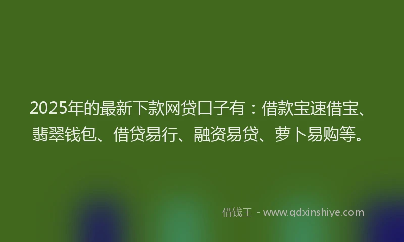 2025年的最新下款网贷口子有：借款宝速借宝、翡翠钱包、借贷易行、融资易贷、萝卜易购等。