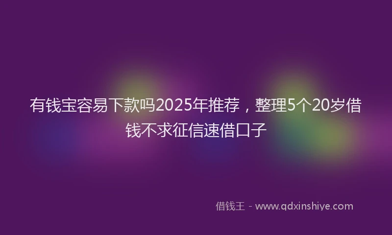 有钱宝容易下款吗2025年推荐，整理5个20岁借钱不求征信速借口子