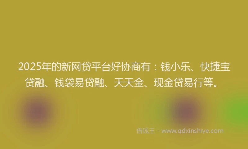 2025年的新网贷平台好协商有：钱小乐、快捷宝贷融、钱袋易贷融、天天金、现金贷易行等。