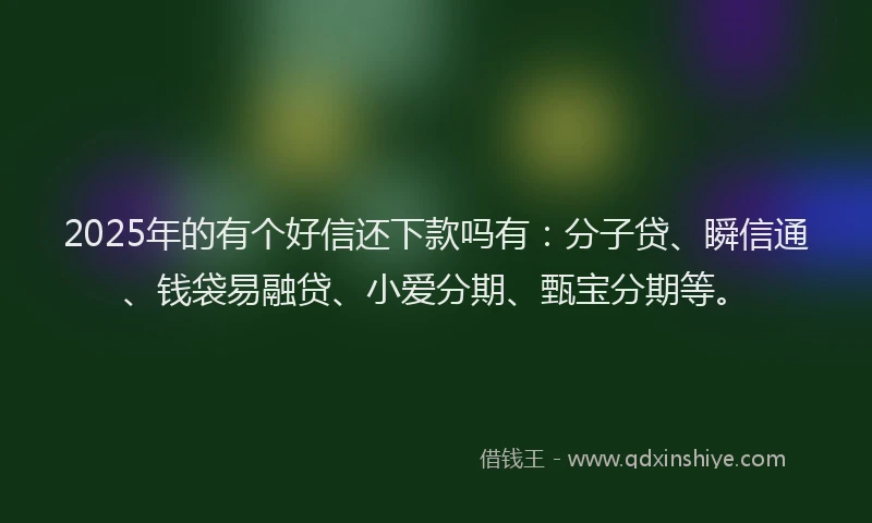 2025年的有个好信还下款吗有：分子贷、瞬信通、钱袋易融贷、小爱分期、甄宝分期等。