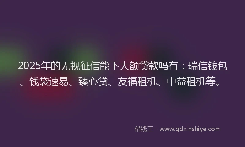 2025年的无视征信能下大额贷款吗有：瑞信钱包、钱袋速易、臻心贷、友福租机、中益租机等。
