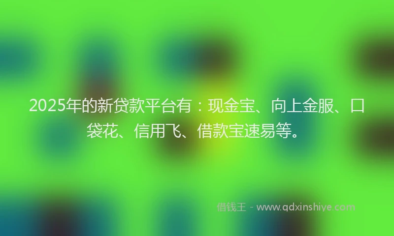 2025年的新贷款平台有：现金宝、向上金服、口袋花、信用飞、借款宝速易等。
