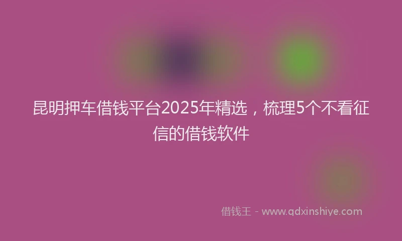 昆明押车借钱平台2025年精选，梳理5个不看征信的借钱软件