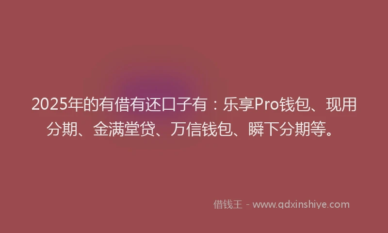 2025年的有借有还口子有：乐享Pro钱包、现用分期、金满堂贷、万信钱包、瞬下分期等。