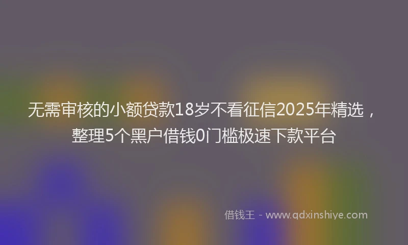 无需审核的小额贷款18岁不看征信2025年精选，整理5个黑户借钱0门槛极速下款平台