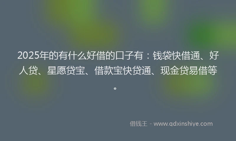 2025年的有什么好借的口子有：钱袋快借通、好人贷、星愿贷宝、借款宝快贷通、现金贷易借等。