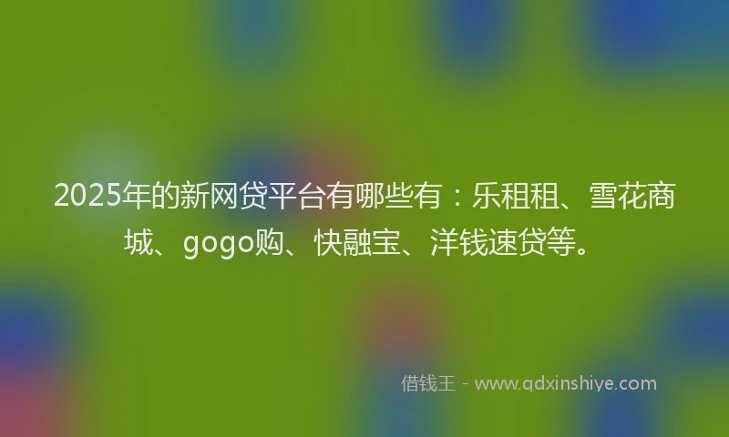 2025年的新网贷平台有哪些有：乐租租、雪花商城、gogo购、快融宝、洋钱速贷等。