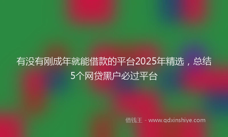 有没有刚成年就能借款的平台2025年精选，总结5个网贷黑户必过平台