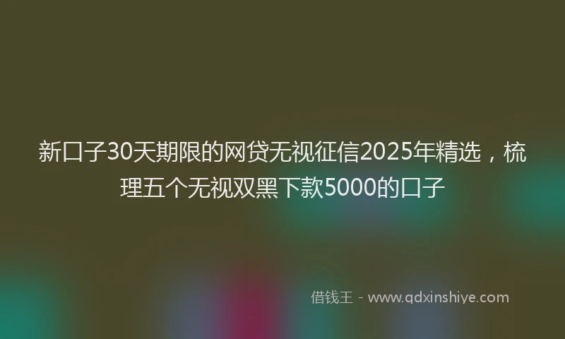 新口子30天期限的网贷无视征信2025年精选，梳理五个无视双黑下款5000的口子