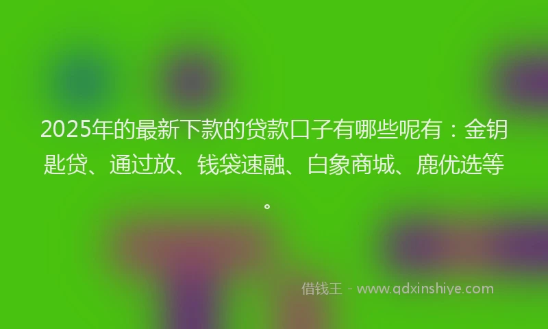 2025年的最新下款的贷款口子有哪些呢有：金钥匙贷、通过放、钱袋速融、白象商城、鹿优选等。