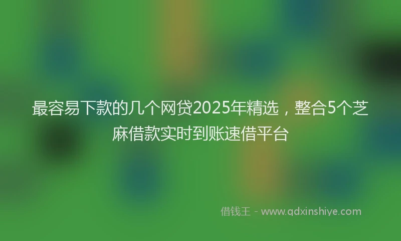 最容易下款的几个网贷2025年精选，整合5个芝麻借款实时到账速借平台