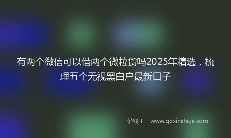 有两个微信可以借两个微粒货吗2025年精选，梳理五个无视黑白户最新口子