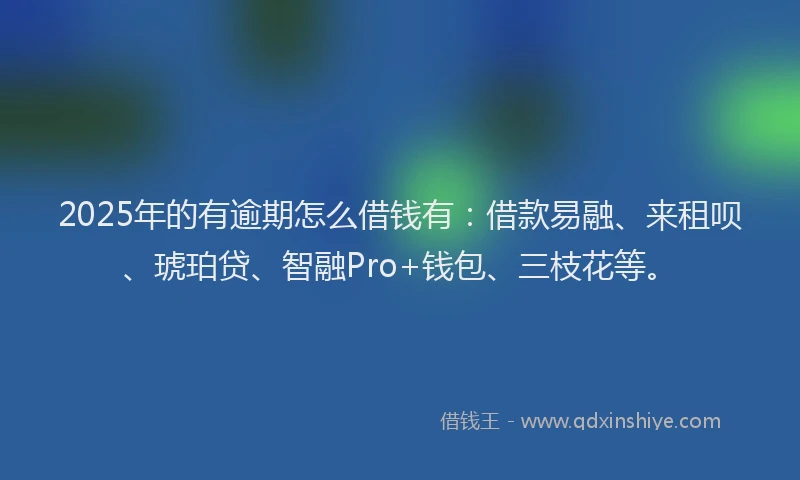2025年的有逾期怎么借钱有：借款易融、来租呗、琥珀贷、智融Pro+钱包、三枝花等。