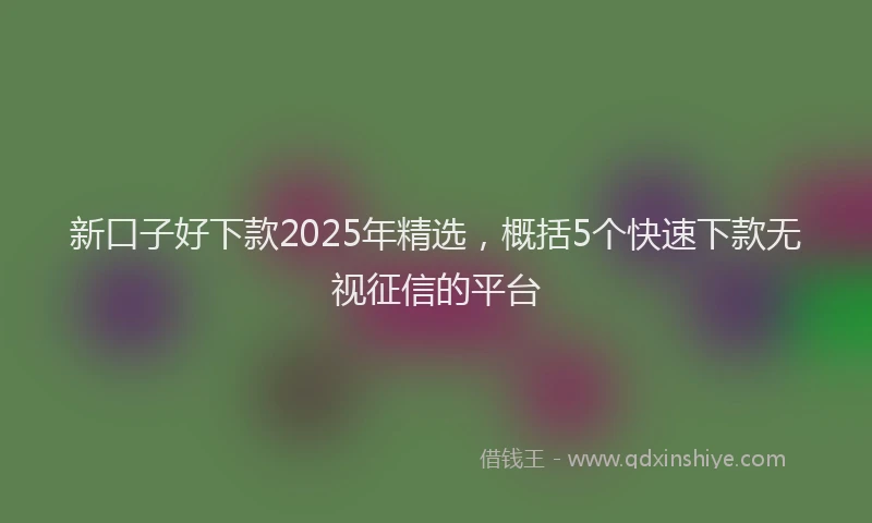 新口子好下款2025年精选，概括5个快速下款无视征信的平台