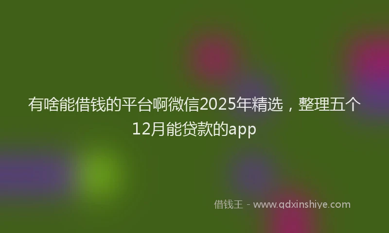 有啥能借钱的平台啊微信2025年精选，整理五个12月能贷款的app