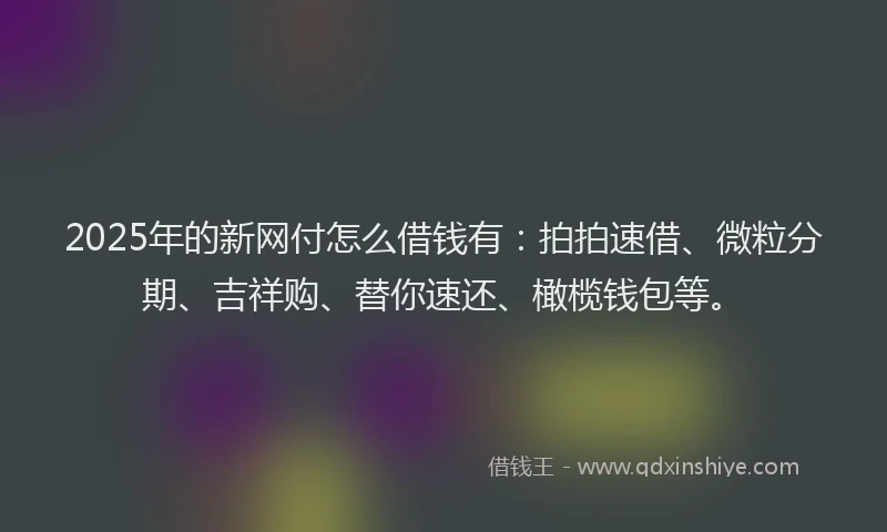 2025年的新网付怎么借钱有：拍拍速借、微粒分期、吉祥购、替你速还、橄榄钱包等。