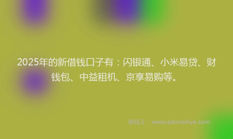 2025年的新借钱口子有：闪银通、小米易贷、财钱包、中益租机、京享易购等。