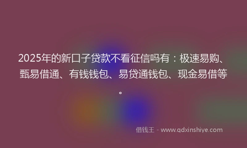 2025年的新口子贷款不看征信吗有：极速易购、甄易借通、有钱钱包、易贷通钱包、现金易借等。
